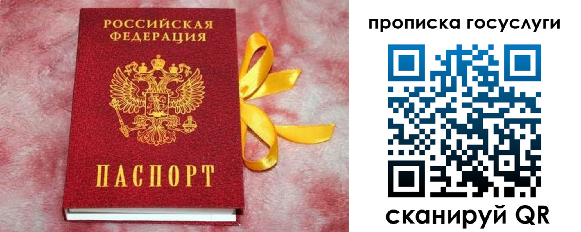 прописка законно в Рошале